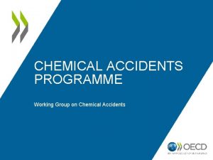 CHEMICAL ACCIDENTS PROGRAMME Working Group on Chemical Accidents