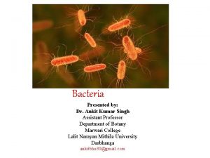 Bacteria Presented by Dr Ankit Kumar Singh Assistant