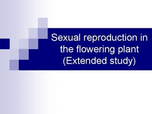 Sexual reproduction in the flowering plant Extended study