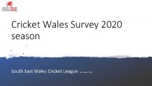 Cricket Wales Survey 2020 season South East Wales