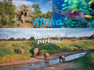 Afrika Nacionalni parkovi Nacionalni parkovi Afrike Afrika ima