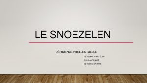 LE SNOEZELEN DFICIENCE INTELLECTUELLE DE VILLENFAGNE CLINE RODRIGUEZ