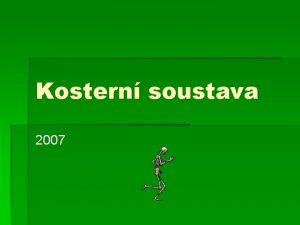 Kostern soustava 2007 Funkce kostry podpora tla ochrana