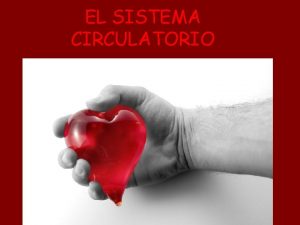 EL SISTEMA CIRCULATORIO NDICE Anatoma del sistema circulatorio