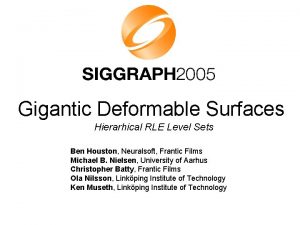 Gigantic Deformable Surfaces Hierarhical RLE Level Sets Ben