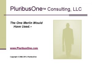 Pluribus One TM Consulting LLC The One Merlin