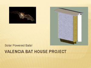 Solar Powered Bats VALENCIA BAT HOUSE PROJECT OVERVIEW