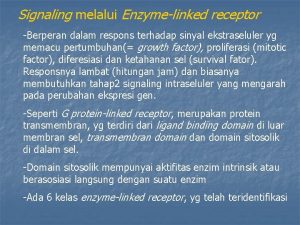 Signaling melalui Enzymelinked receptor Berperan dalam respons terhadap