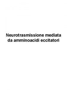Neurotrasmissione mediata da amminoacidi eccitatori Il glutammato il