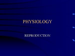 PHYSIOLOGY REPRODUCTION The External Genitals External genitals collectively