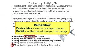 The Anatomy of a Flying Fish Flying fish
