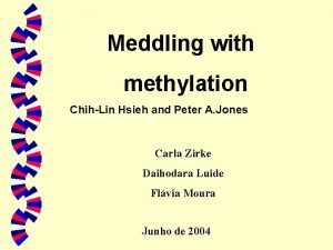 Meddling with methylation ChihLin Hsieh and Peter A