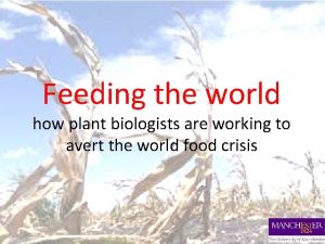 Feeding the world how plant biologists are working