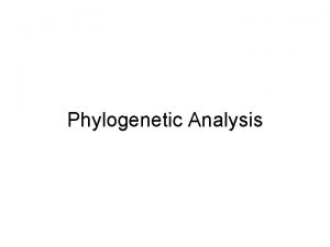 Phylogenetic Analysis Phylogenetic Analysis Overview Insight into evolutionary
