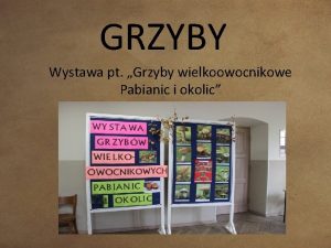 GRZYBY Wystawa pt Grzyby wielkoowocnikowe Pabianic i okolic