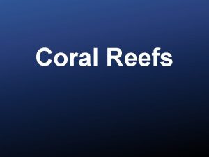 Coral Reefs What is a coral reef Ecosystem