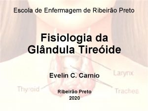 Escola de Enfermagem de Ribeiro Preto Fisiologia da