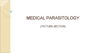 MEDICAL PARASITOLOGY PICTURE SECTION Enterobius Vermicularis egg The