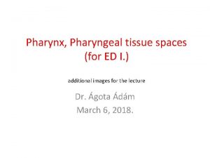 Pharynx Pharyngeal tissue spaces for ED I additional