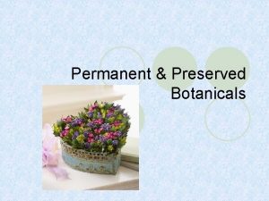 Permanent Preserved Botanicals Advantages to Permanent Preserved Botanicals