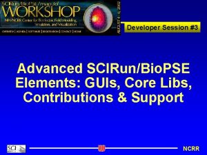 Developer Session 3 Advanced SCIRunBio PSE Elements GUIs