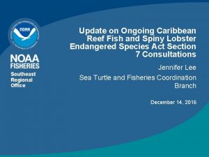 Update on Ongoing Caribbean Reef Fish and Spiny