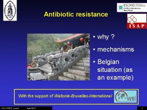 Antibiotic resistance why mechanisms Belgian situation as an