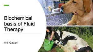 Biochemical basis of Fluid Therapy Anil Gattani Indication