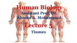 Human Biology Assistant Prof Dr Ahmed A Mohammed