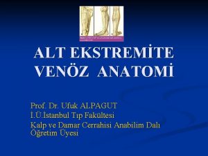 ALT EKSTREMTE VENZ ANATOM Prof Dr Ufuk ALPAGUT