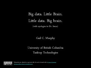 Big data Little Brain Little data Big brain