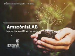 1 Seminrio de PDI2019 SUFRAMA 1 Seminrio de