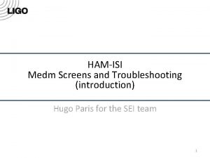 HAMISI Medm Screens and Troubleshooting introduction Hugo Paris