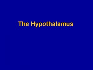 The Hypothalamus Functions of hypothalamus Endocrine function Sleep