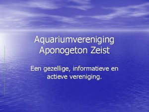 Aquariumvereniging Aponogeton Zeist Een gezellige informatieve en actieve