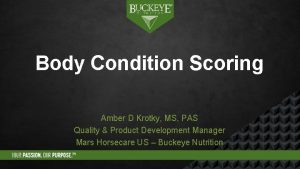 Body Condition Scoring Amber D Krotky MS PAS