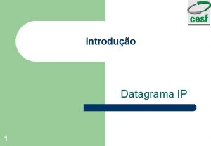 Introduo Datagrama IP 1 Introduo 2 l Descreve