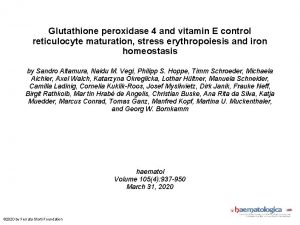 Glutathione peroxidase 4 and vitamin E control reticulocyte