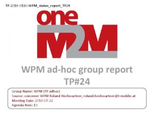 TP2016 0190 WPMstatusreportTP 24 WPM adhoc group report