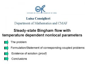 Luisa Consiglieri Department of Mathematics and CMAF Steadystate