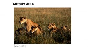 Ecosystem Ecology Ecosystem Ecology I Introduction Ecosystem an
