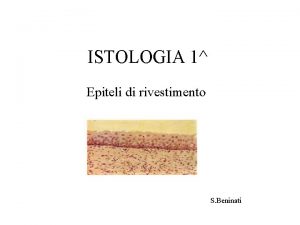 ISTOLOGIA 1 Epiteli di rivestimento S Beninati Lezioni