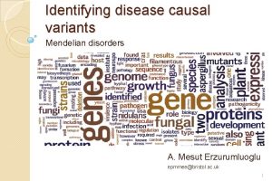 Identifying disease causal variants Mendelian disorders A Mesut