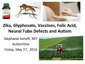 Zika Glyphosate Vaccines Folic Acid Neural Tube Defects