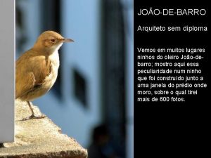 JOODEBARRO Arquiteto sem diploma Vemos em muitos lugares