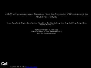 mi R301 a Suppression within Fibroblasts Limits the