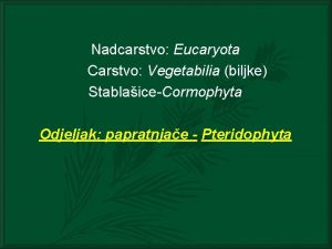 Nadcarstvo Eucaryota Carstvo Vegetabilia biljke StablaiceCormophyta Odjeljak papratnjae