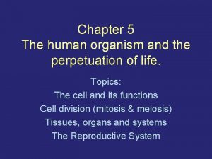 Chapter 5 The human organism and the perpetuation