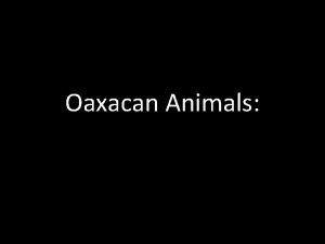 Oaxacan Animals Valley of Oaxaca How Are They