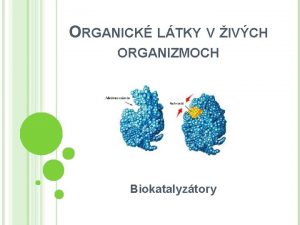 ORGANICK LTKY V IVCH ORGANIZMOCH Biokatalyztory OPAKUJEME Katalyztor
